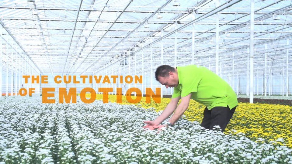 The Cultivation of Emotion video
